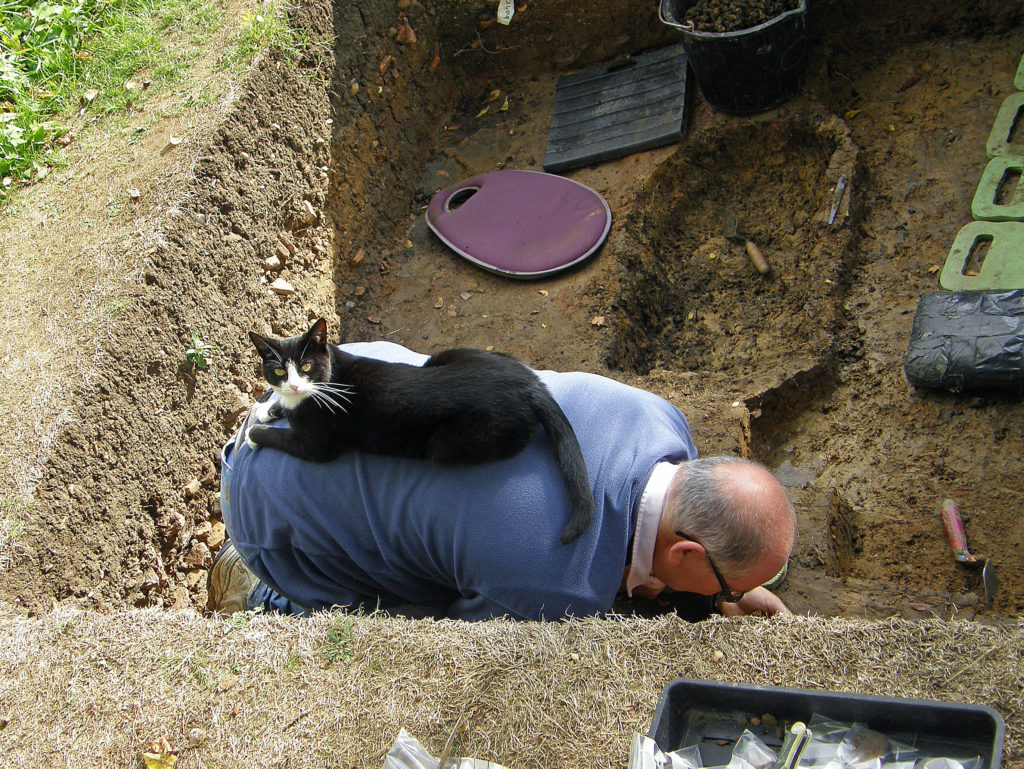 Cat on digger's back in trench