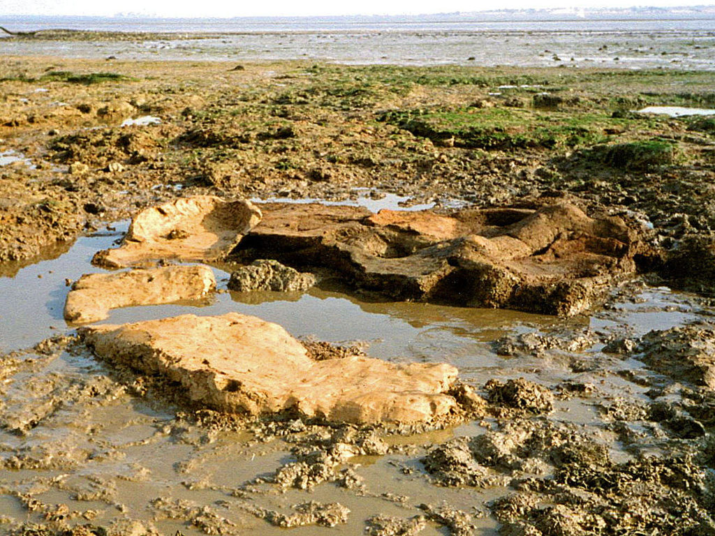 Eroding settlement tanks and hearth chambers of Roman salt-working unit, Canvey